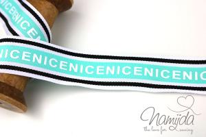 1 MTR. NICE WEBBAND - MINT - 3cm